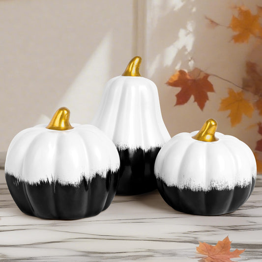 AELS Modern Ceramic Pumpkins Fall Decor Indoor, Set of 3 Chic Tabletop Decorations, Artificial Pumpkins Decor for Fall Table Runner, Office, Holiday Party Home, Black and White