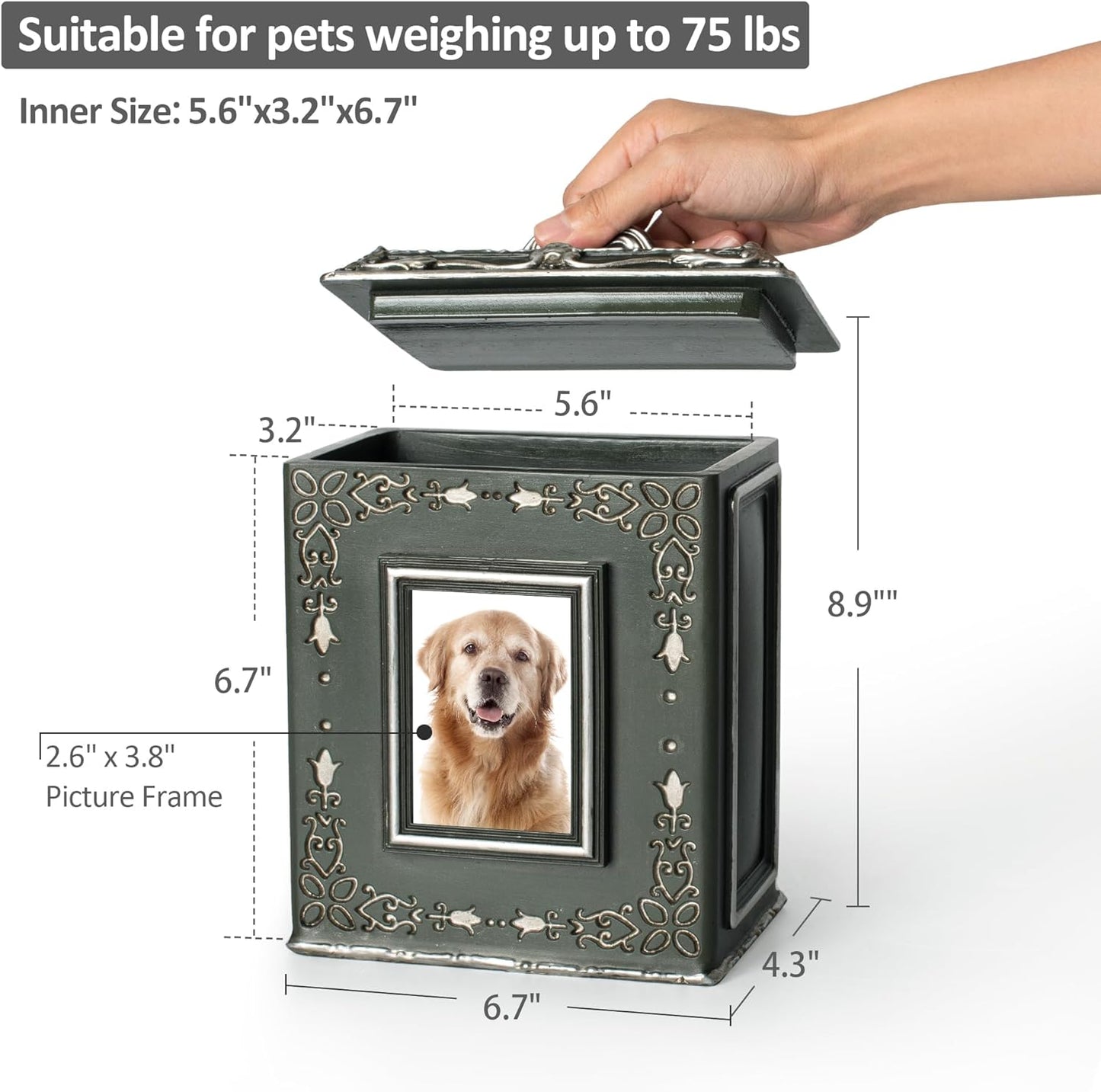 AELS Pet Urn Memory Box for Keepsakes with Photo Slot, Dog Memorial Urns for Ashes, Cat or Dog Cremation Urns, Dark Green